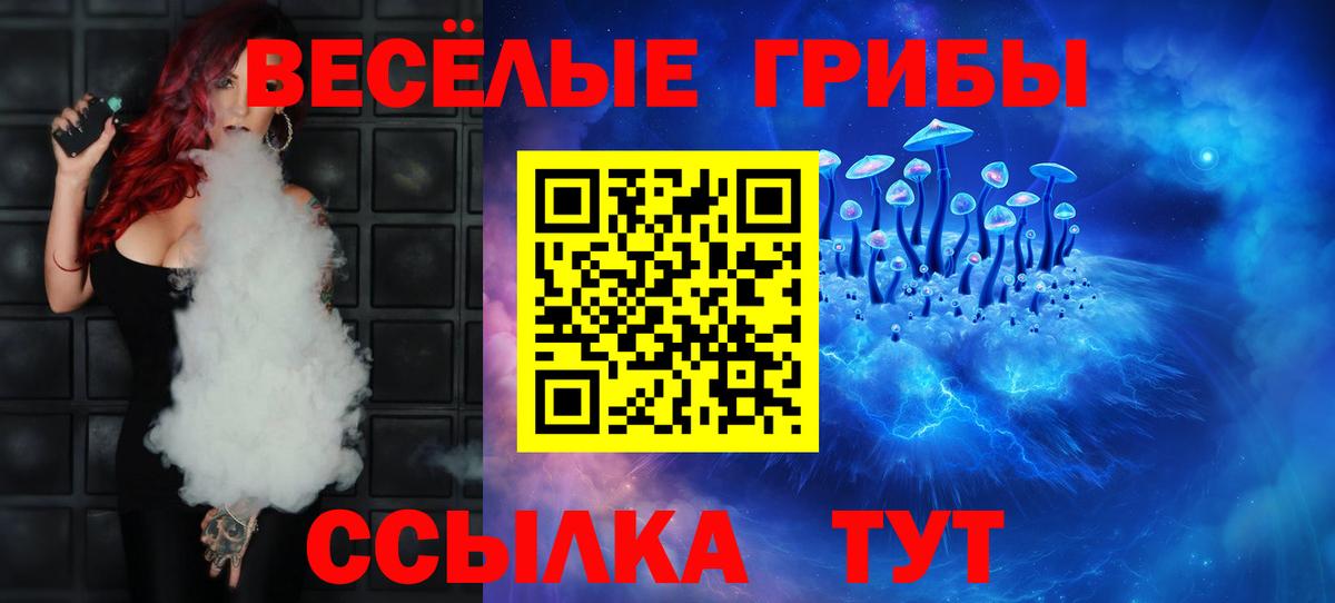 Ачхой-Мартан  Галлюциногенные грибы Psilocybe  наркота  Вход с VPN 
