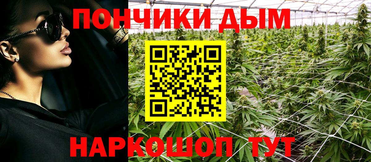 Шишки марихуана гибрид  Бошки марихуана THC 21%  Вход с VPN  Каннабис планчик  Ачхой-Мартан  Шишки марихуана THC 21% 